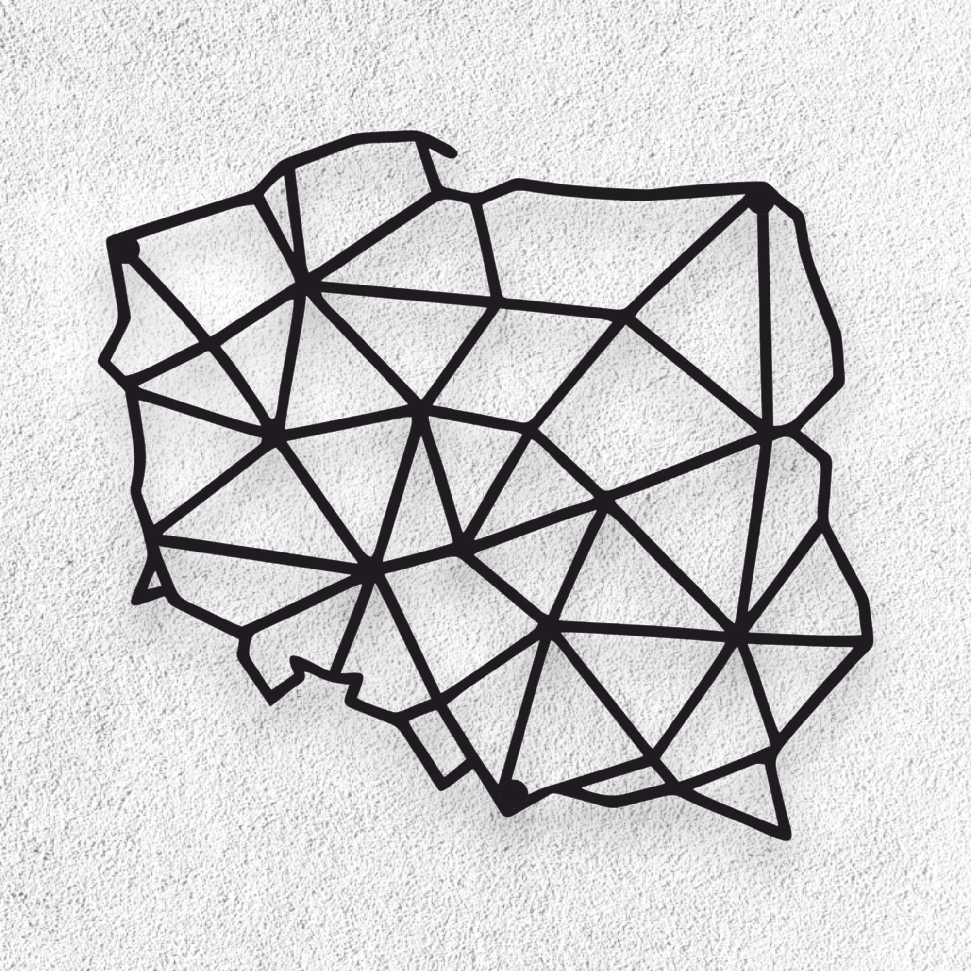 Nowoczesna geometryczna mapa Polski